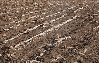 告別白色污染 守護(hù)村莊凈土，探索土壤環(huán)境污染防治服務(wù)新路徑